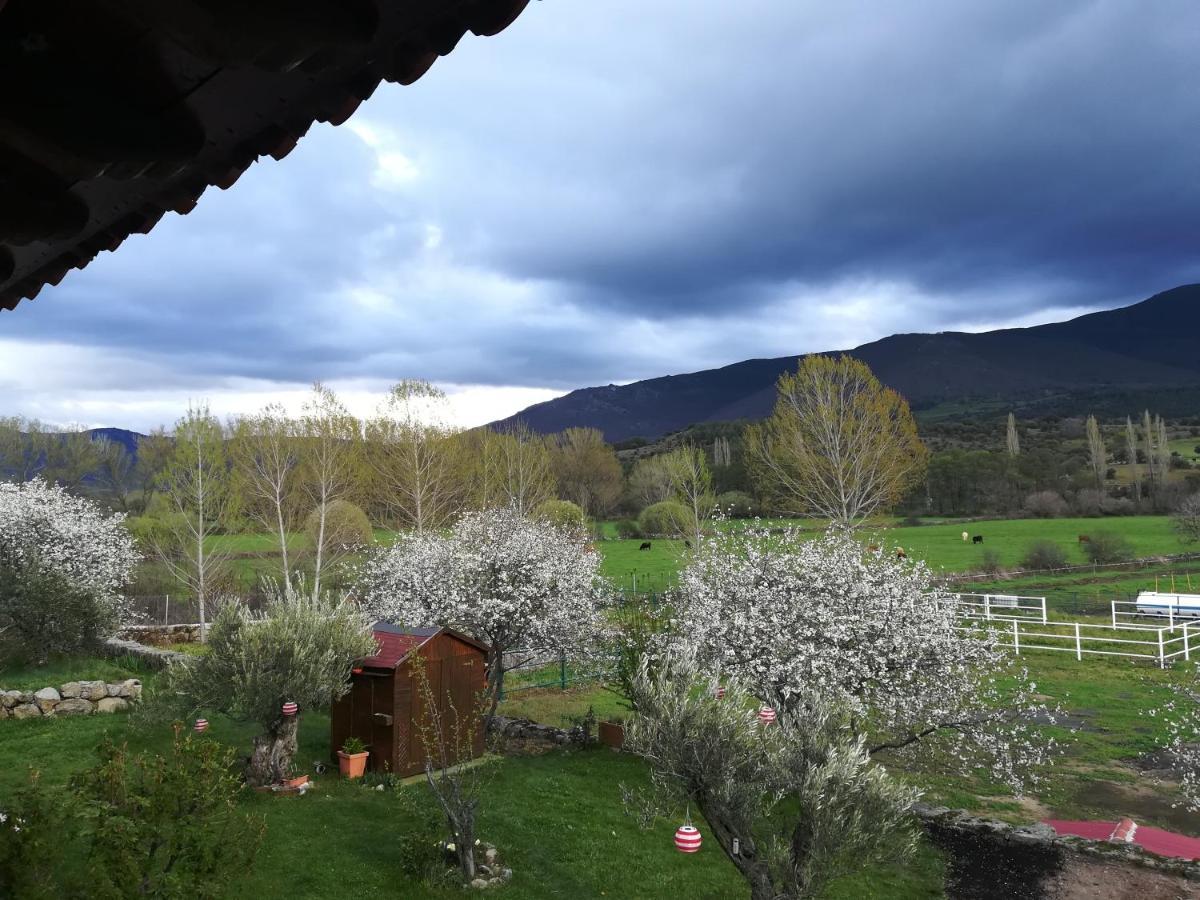 El Mirador Del Gato I Y II Villa Mesegar de Corneja Eksteriør bilde