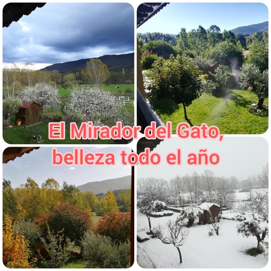 El Mirador Del Gato I Y II Villa Mesegar de Corneja Eksteriør bilde