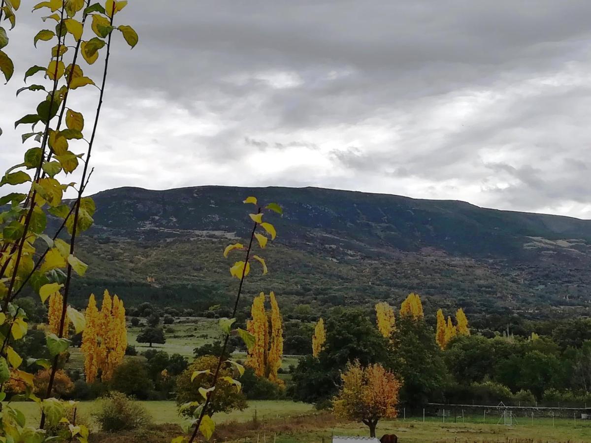 El Mirador Del Gato I Y II Villa Mesegar de Corneja Eksteriør bilde