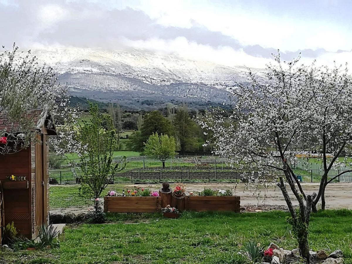 El Mirador Del Gato I Y II Villa Mesegar de Corneja Eksteriør bilde